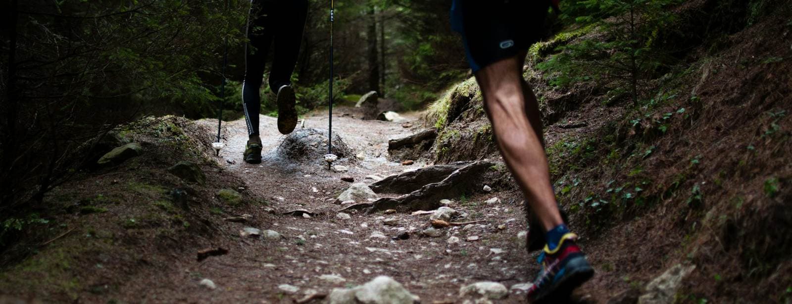 Two runners on a wooded trail